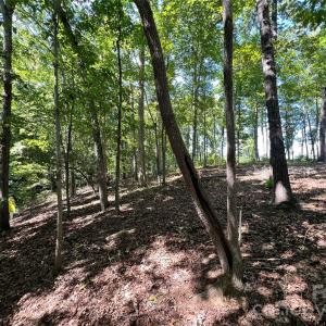 Photo #8 of VAC Brightwood, Norwood, NC