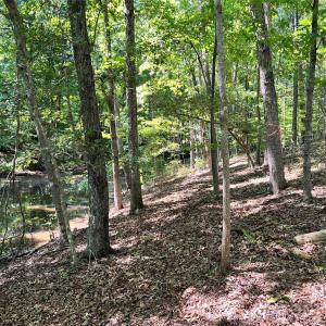Photo #10 of VAC Brightwood, Norwood, NC