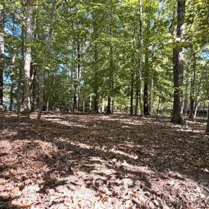Photo #1 of Lot 2 Lochaven, Waxhaw, NC