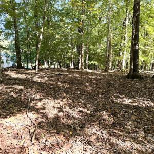 Photo #2 of Lot 2 Lochaven, Waxhaw, NC