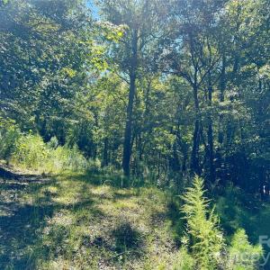 Photo #11 of 10062 Southwinds, Indian Land, SC