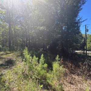 Photo #9 of 10062 Southwinds, Indian Land, SC