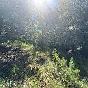 Photo #10 of 10062 Southwinds, Indian Land, SC