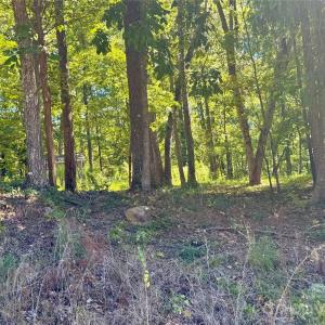 Photo #2 of 10062 Southwinds, Indian Land, SC