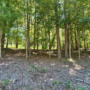 Photo #1 of 10062 Southwinds, Indian Land, SC