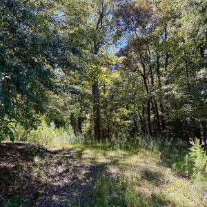 Photo #12 of 10062 Southwinds, Indian Land, SC