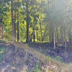 Photo #3 of 10062 Southwinds, Indian Land, SC