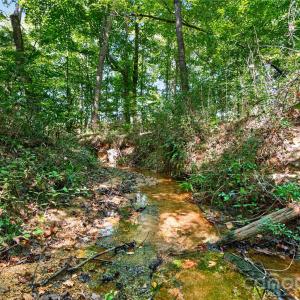 Photo #23 of Narrow Bridge, Chester, SC