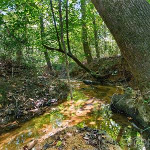 Photo #22 of Narrow Bridge, Chester, SC