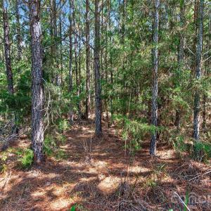 Photo #9 of Narrow Bridge, Chester, SC