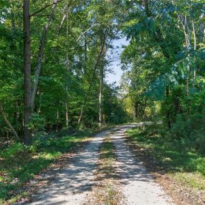 Photo #1 of Narrow Bridge, Chester, SC
