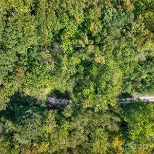 Photo #35 of Narrow Bridge, Chester, SC