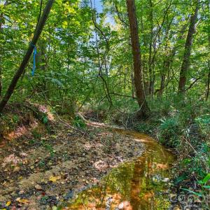 Photo #17 of Narrow Bridge, Chester, SC