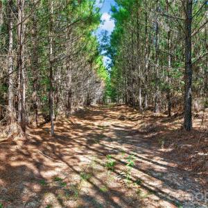 Photo #11 of Narrow Bridge, Chester, SC