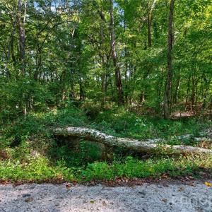 Photo #24 of Narrow Bridge, Chester, SC