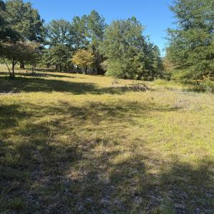 Photo #9 of 3788 Old Georgetown, Kershaw, SC
