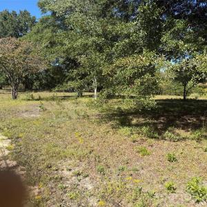 Photo #5 of 3788 Old Georgetown, Kershaw, SC