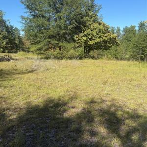 Photo #8 of 3788 Old Georgetown, Kershaw, SC
