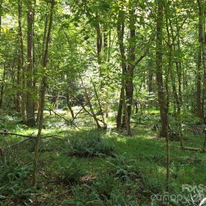 Photo #27 of 552 Midway, Richburg, SC
