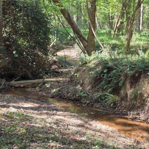 Photo #23 of 552 Midway, Richburg, SC