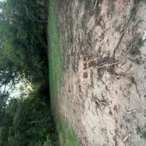 Photo #1 of 1159 Sanders, Rock Hill, SC