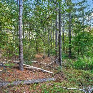 Photo #17 of Garvin, York, SC