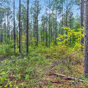 Photo #23 of Garvin, York, SC