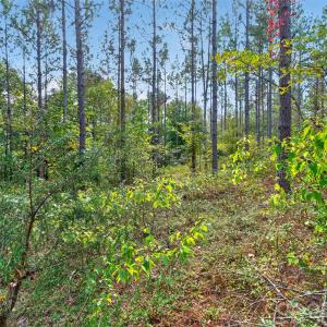 Photo #18 of Garvin, York, SC
