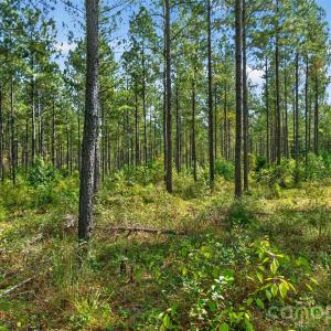 Photo #3 of Garvin, York, SC
