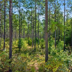 Photo #28 of Garvin, York, SC