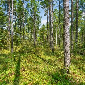 Photo #11 of Garvin, York, SC