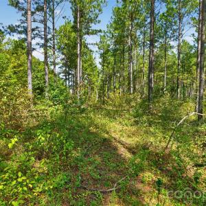 Photo #10 of Garvin, York, SC