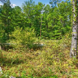 Photo #9 of Garvin, York, SC