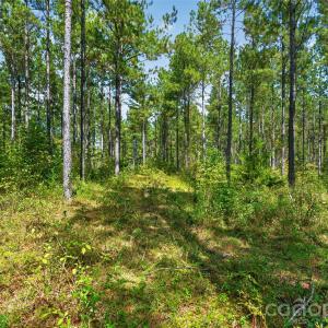 Photo #12 of Garvin, York, SC
