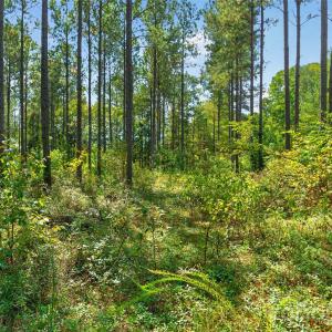Photo #8 of Garvin, York, SC