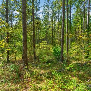 Photo #14 of Garvin, York, SC