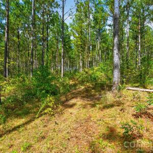 Photo #13 of Garvin, York, SC