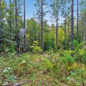 Photo #16 of Garvin, York, SC