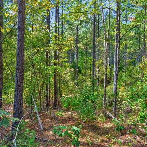 Photo #19 of Garvin, York, SC