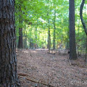 Photo #30 of 2233 Rodman, Chester, SC