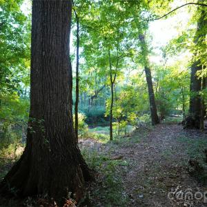 Photo #33 of 2233 Rodman, Chester, SC