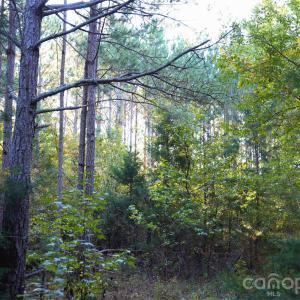 Photo #23 of 2233 Rodman, Chester, SC