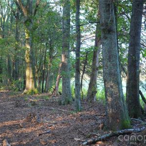 Photo #38 of 2233 Rodman, Chester, SC