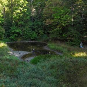 Photo #41 of 6417 Abner, Asheboro, NC