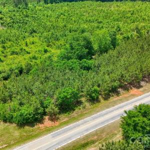 Photo #13 of Cool Branch, Carlisle, SC