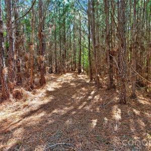 Photo #23 of Narrow Bridge, Chester, SC