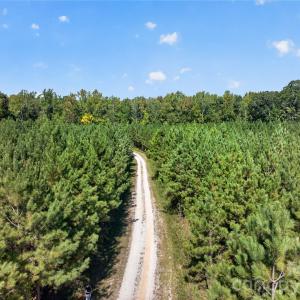 Photo #6 of Narrow Bridge, Chester, SC
