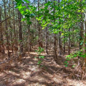 Photo #17 of Narrow Bridge, Chester, SC