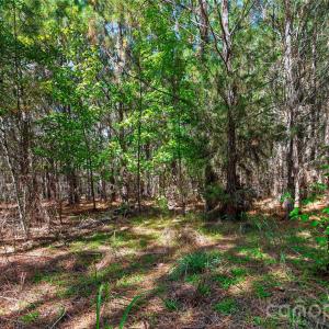Photo #14 of Narrow Bridge, Chester, SC