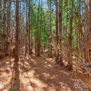 Photo #20 of Narrow Bridge, Chester, SC